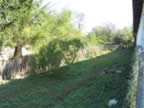 Homrogd030926 107.jpg (118kb)